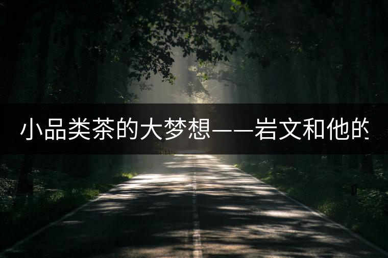 小品類茶的大夢(mèng)想——巖文和他的“云南巖茶”