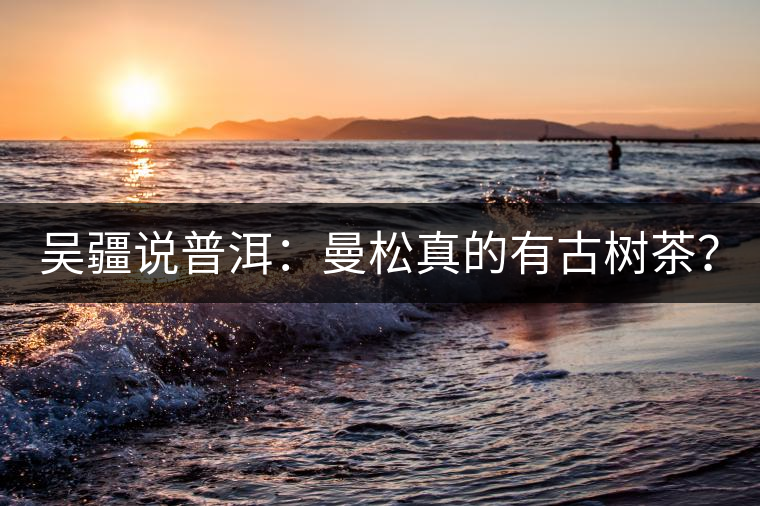 吳疆說(shuō)普洱：曼松真的有古樹(shù)茶？