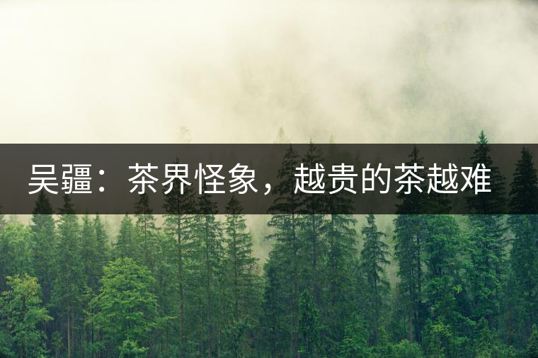 吳疆:茶界怪象,越貴的茶越難喝 吳疆:茶界怪象,越貴的茶越難喝