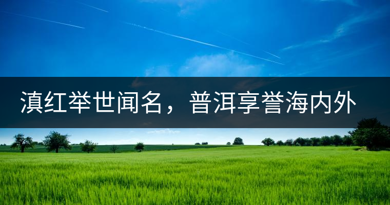 滇紅舉世聞名，普洱享譽(yù)海內(nèi)外丨專家座談——虞富蓮