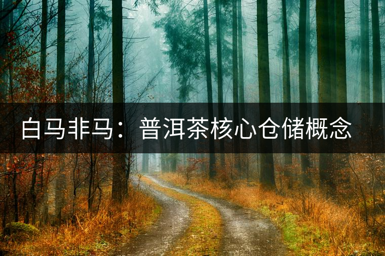 白馬非馬:普洱茶核心倉儲(chǔ)概念辨識(shí)與斷代 白馬非馬:普洱茶核心倉儲(chǔ)概念辨識(shí)與斷代