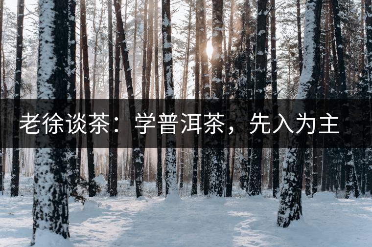 老徐談茶：學(xué)普洱茶，先入為主易被打臉，還得實踐出真知！