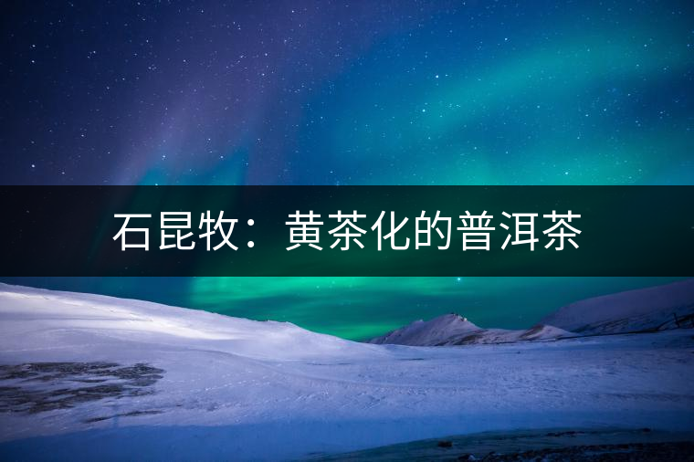 石昆牧:黃茶化的普洱茶 石昆牧:黃茶化的普洱茶