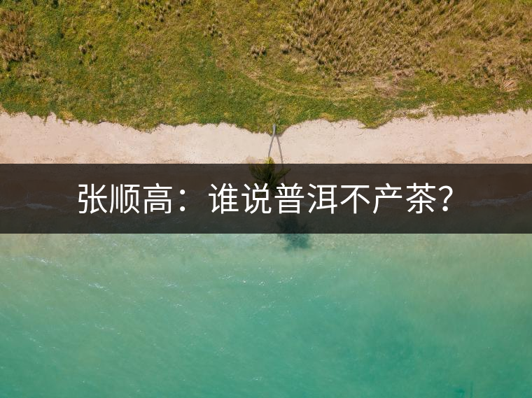張順高：誰說普洱不產(chǎn)茶？