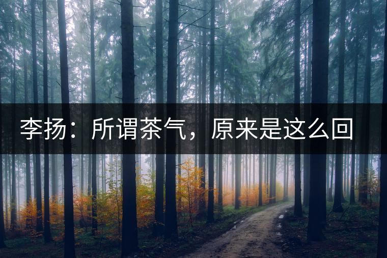 李揚：所謂茶氣，原來是這么回事