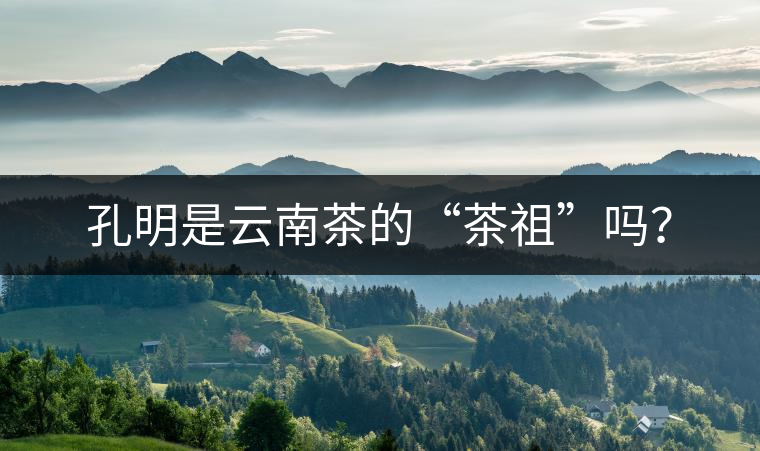 孔明是云南茶的“茶祖”嗎？