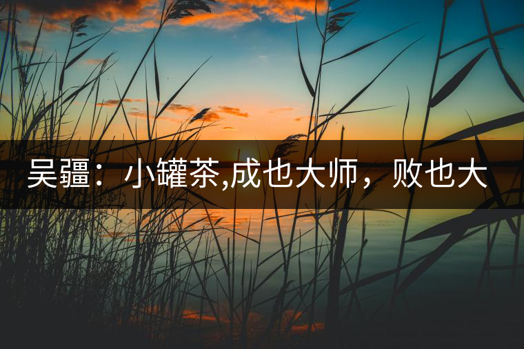 吳疆：小罐茶,成也大師，敗也大師