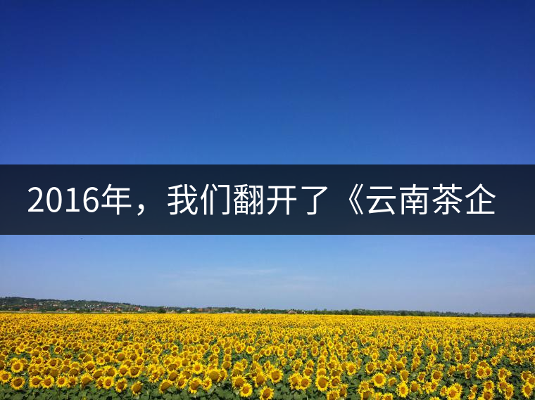 2016年，我們翻開(kāi)了《云南茶企發(fā)展白皮書(shū)》