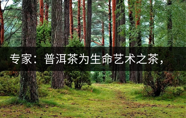 專家：普洱茶為生命藝術(shù)之茶，現(xiàn)低價時期可投資收茶