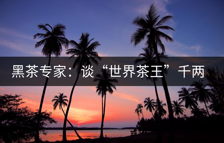 黑茶專家:談“世界茶王”千兩茶 黑茶專家:談“世界茶王”千兩茶