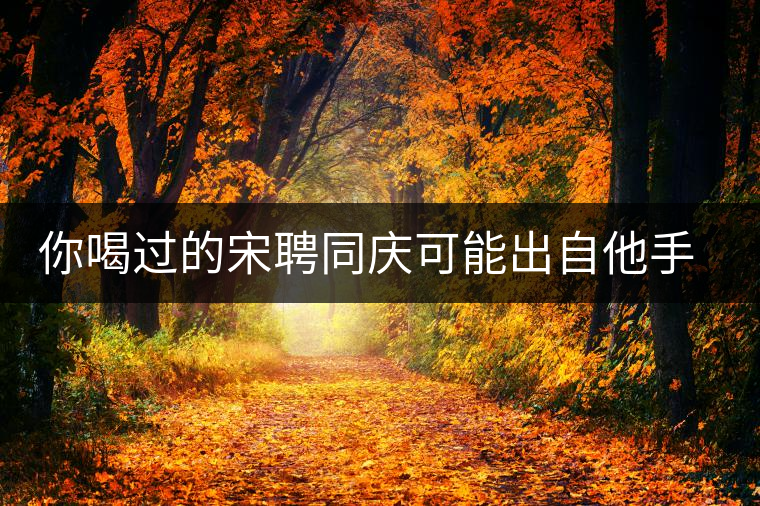 你喝過的宋聘同慶可能出自他手，他還發(fā)明了普洱熟茶！