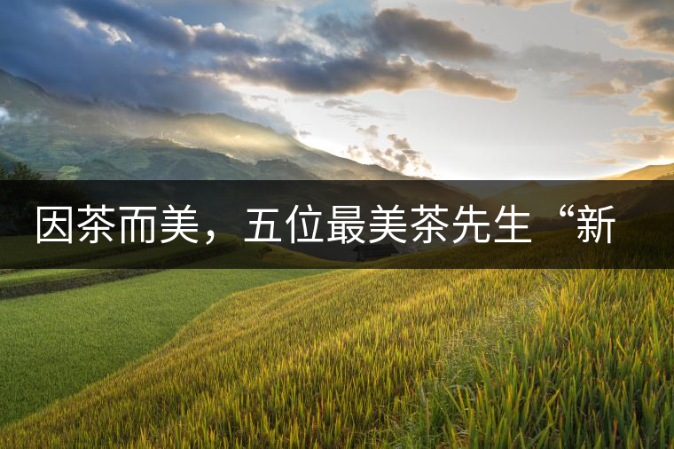 因茶而美，五位最美茶先生“新鮮出爐”啦