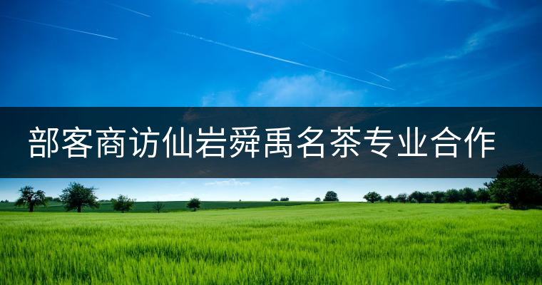 部客商訪仙巖舜禹名茶專業(yè)合作社負責人鮑樟苗 部客商訪仙巖舜禹名茶專業(yè)合作社負責人鮑樟苗