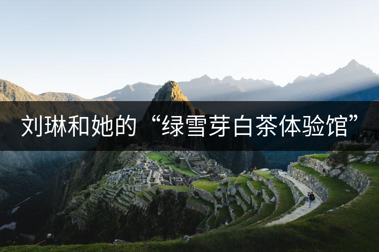 劉琳和她的“綠雪芽白茶體驗館”