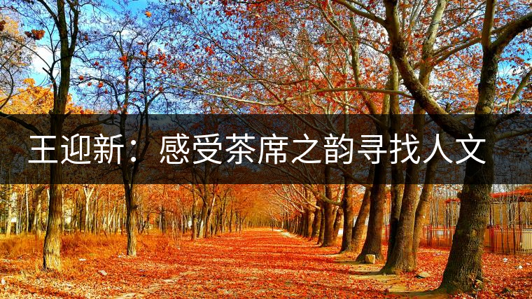 王迎新:感受茶席之韻尋找人文情懷 王迎新:感受茶席之韻尋找人文情懷