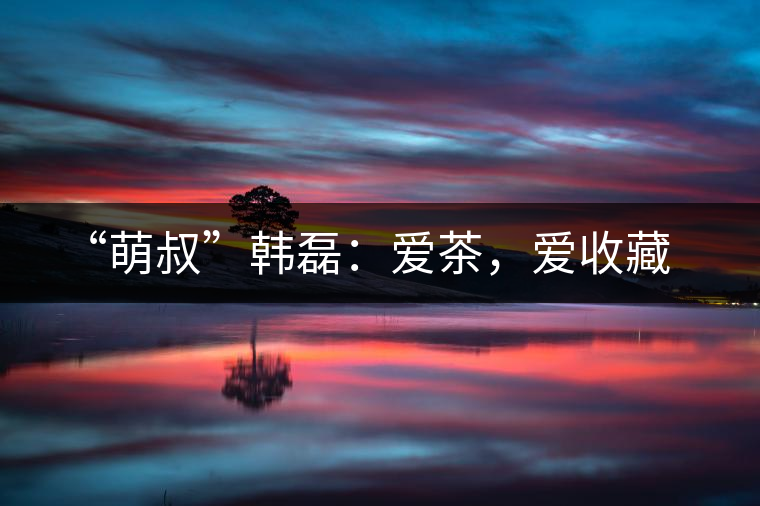 “萌叔”韓磊：愛(ài)茶，愛(ài)收藏