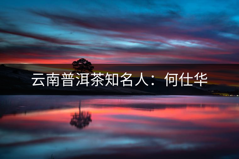 云南普洱茶知名人：何仕華