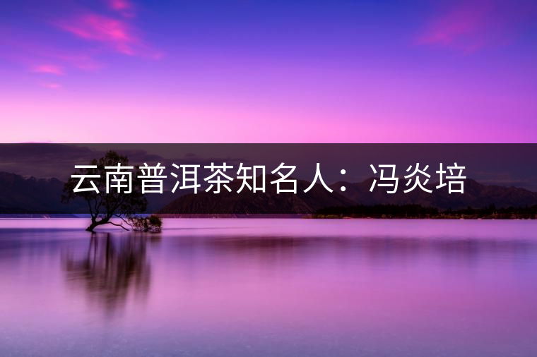 云南普洱茶知名人：馮炎培