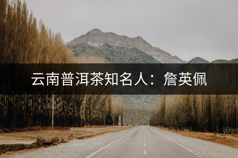 云南普洱茶知名人:詹英佩 云南普洱茶知名人:詹英佩
