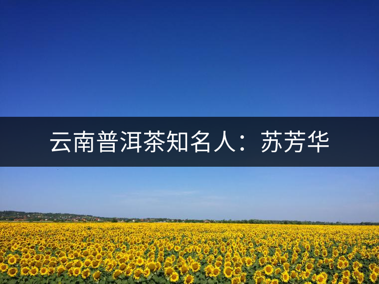 云南普洱茶知名人：蘇芳華