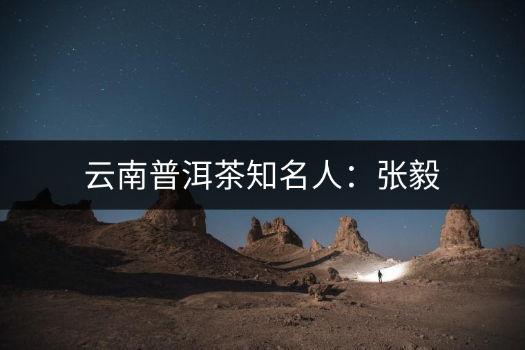 云南普洱茶知名人：張毅