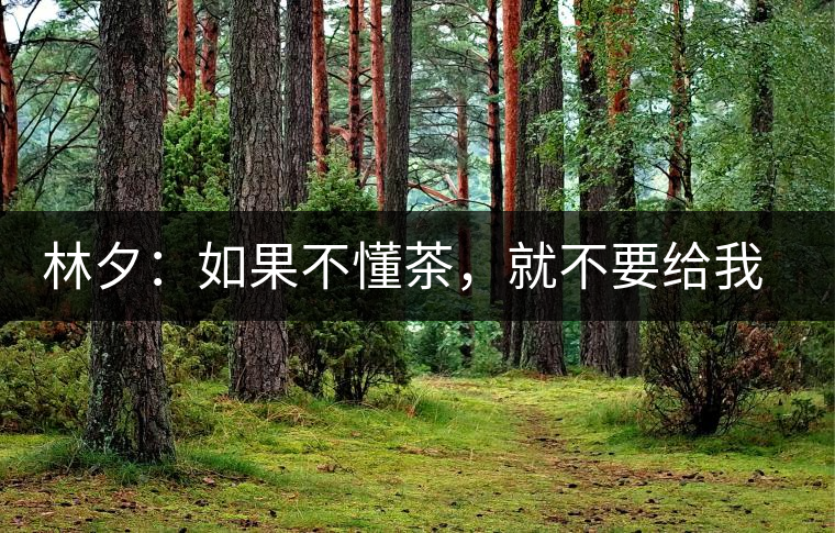 林夕：如果不懂茶，就不要給我送茶