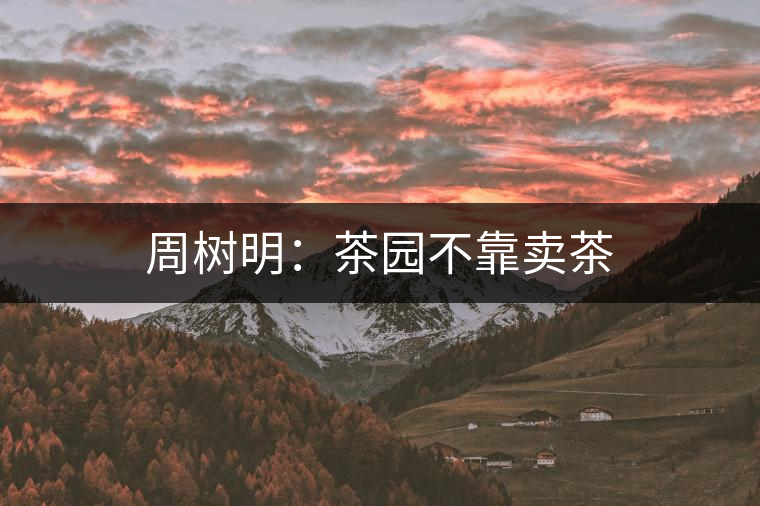 周樹(shù)明:茶園不靠賣(mài)茶 周樹(shù)明:茶園不靠賣(mài)茶