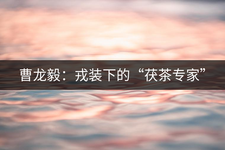 曹龍毅：戎裝下的“茯茶專(zhuān)家”