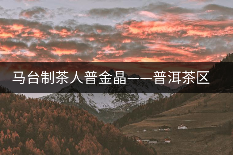 馬臺制茶人普金晶——普洱茶區(qū)小茶商系列專訪 馬臺制茶人普金晶——普洱茶區(qū)小茶商系列專訪
