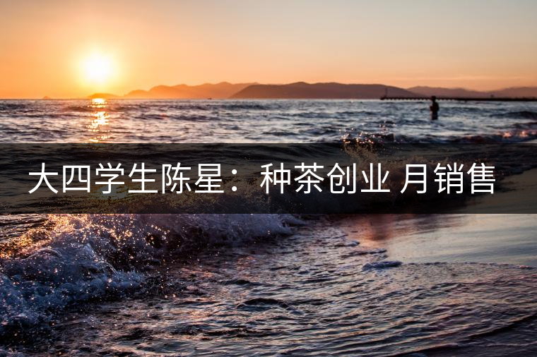 大四學生陳星：種茶創(chuàng)業(yè) 月銷售額超五十萬