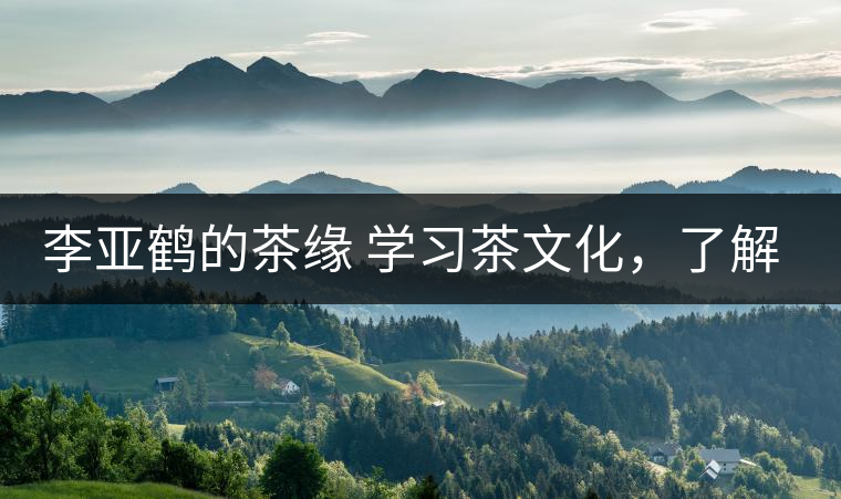 李亞鶴的茶緣 學(xué)習(xí)茶文化，了解茶文化，品味茶文化