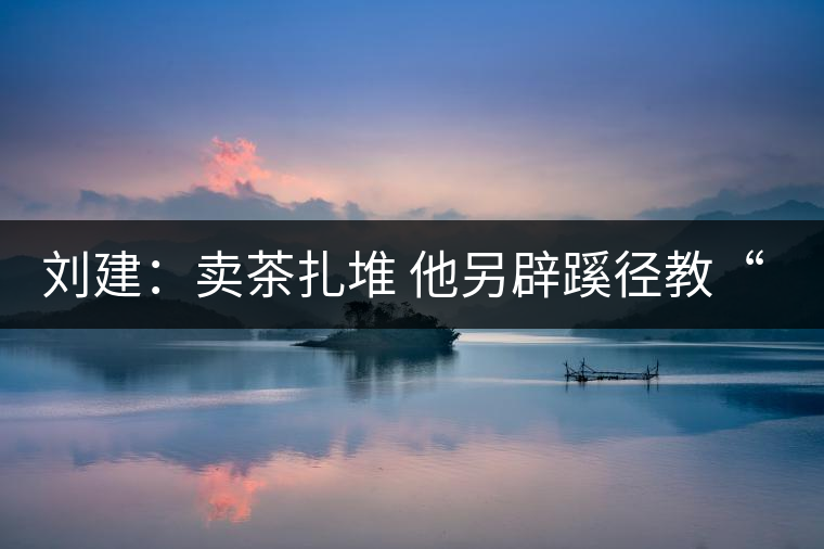 劉建：賣茶扎堆 他另辟蹊徑教“泡茶”