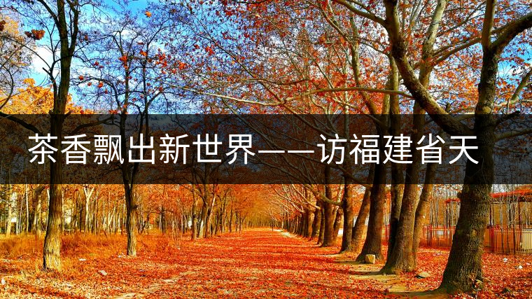 茶香飄出新世界——訪福建省天榮茶業(yè)有限公司董事長(zhǎng)沈丞榮
