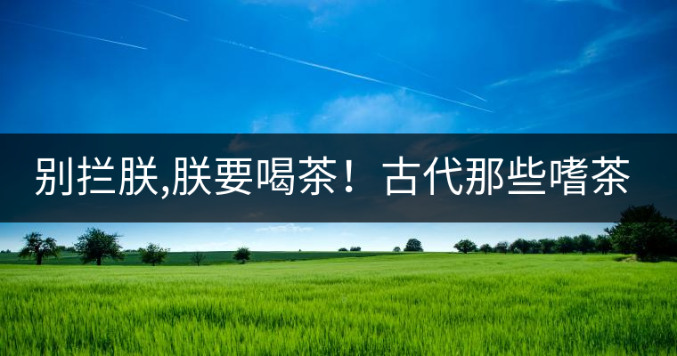 別攔朕,朕要喝茶！古代那些嗜茶如命的皇帝