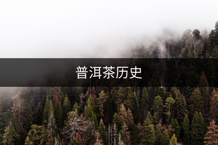 普洱茶歷史