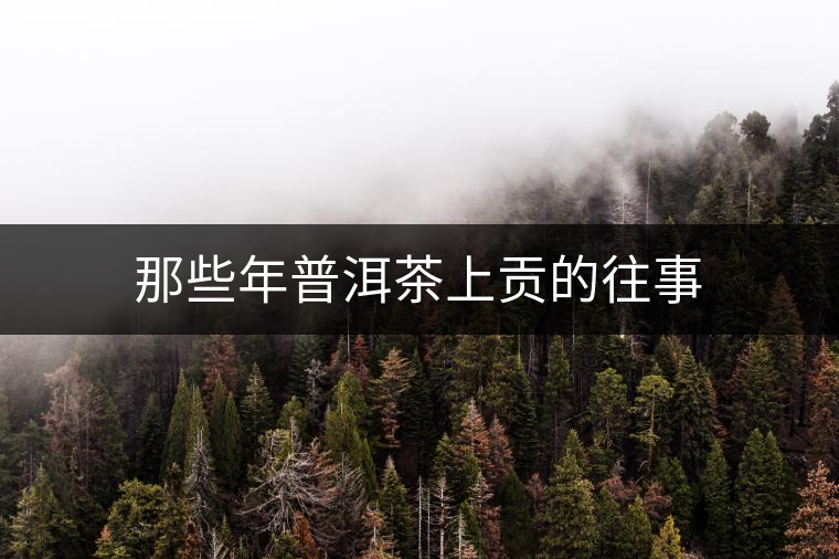 那些年普洱茶上貢的往事 那些年普洱茶上貢的往事