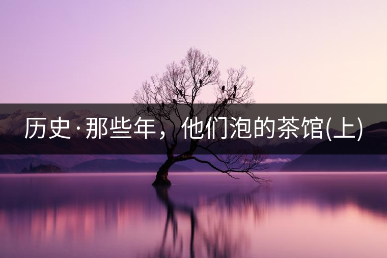 歷史·那些年，他們泡的茶館(上)