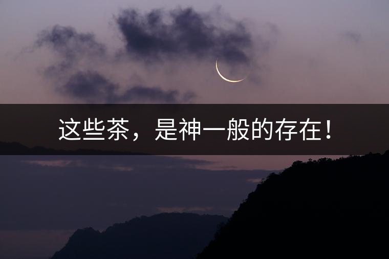 這些茶，是神一般的存在！