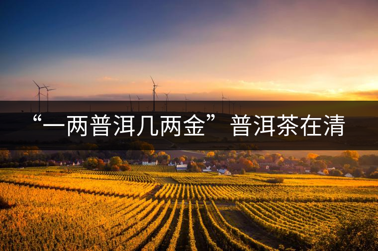 “一兩普洱幾兩金”普洱茶在清代為啥這么火？！