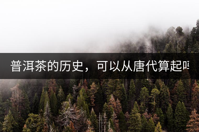 普洱茶的歷史，可以從唐代算起嗎？