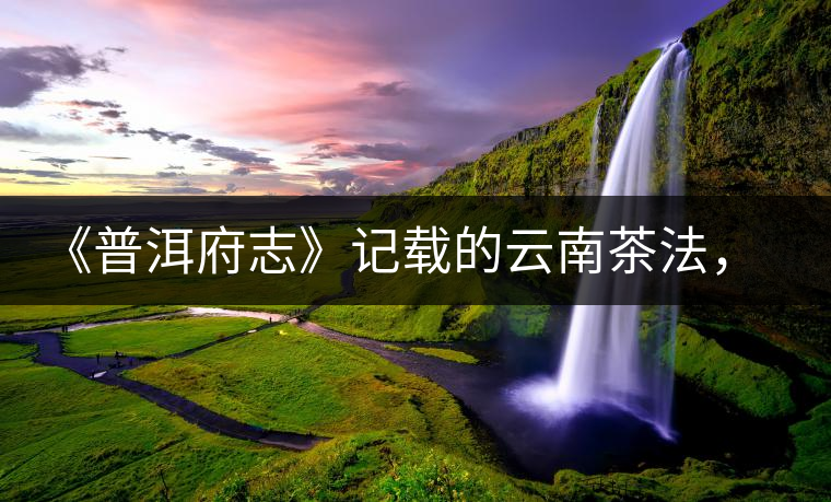 《普洱府志》記載的云南茶法，歷史上唯一為一種茶量身定制的法律