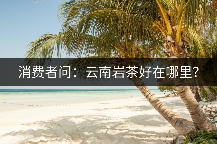 消費者問：云南巖茶好在哪里？