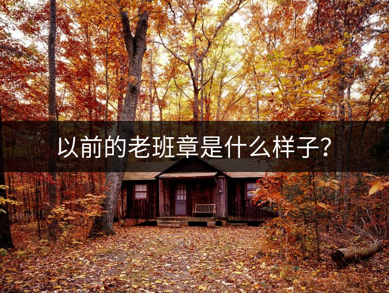 以前的老班章是什么樣子？