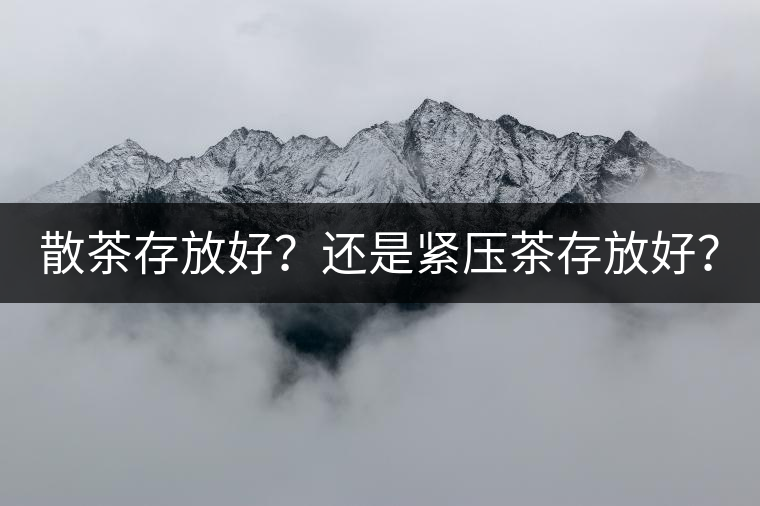 散茶存放好？還是緊壓茶存放好？