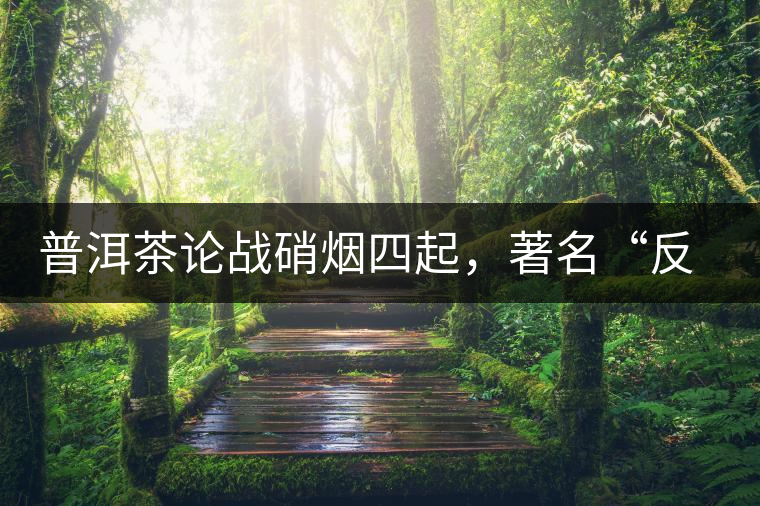 普洱茶論戰(zhàn)硝煙四起，著名“反偽斗士”司馬南有話說