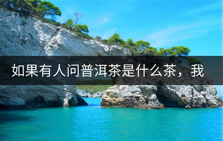 如果有人問普洱茶是什么茶，我就請(qǐng)他看這個(gè)段子