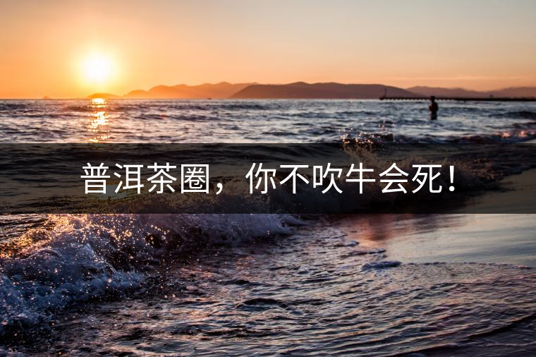 普洱茶圈，你不吹牛會(huì)死！