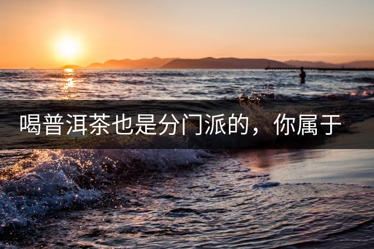 喝普洱茶也是分門派的，你屬于哪派呢？