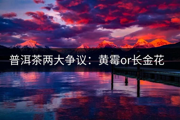 普洱茶兩大爭(zhēng)議：黃霉or長(zhǎng)金花，生蟲or蟲屎茶