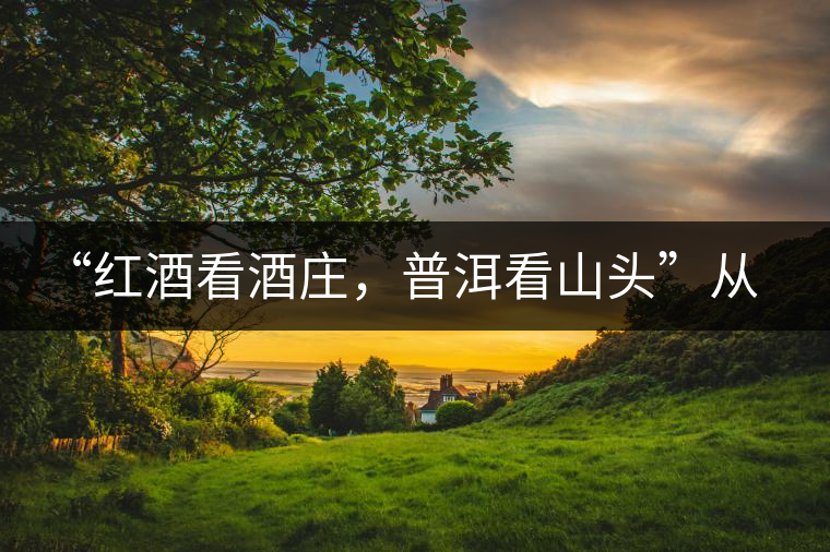 “紅酒看酒莊，普洱看山頭”從這里秒懂普洱茶的未來